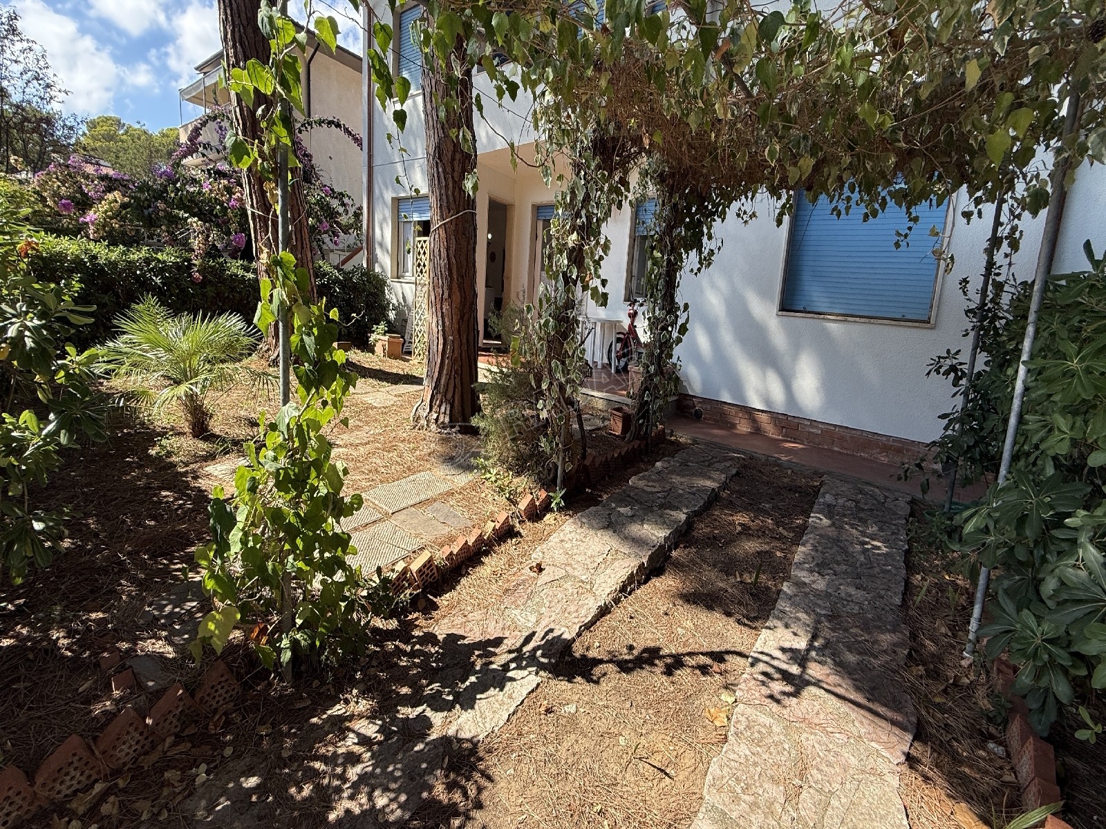 Castiglioncello Trilocale IN VILLETTINA P.T. CON GIARDINO