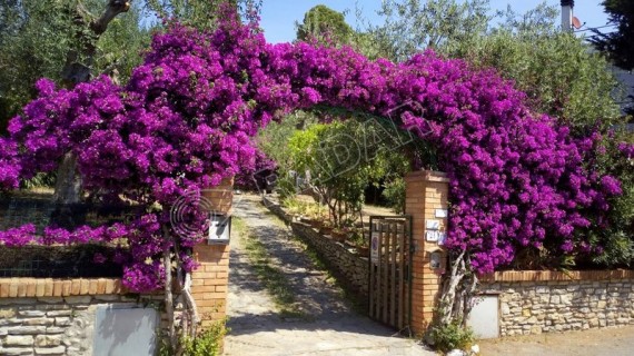 in 4familiare con giardino a 300 metri dal mare